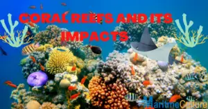 CORAL REEFS AND ITS IMPACTS