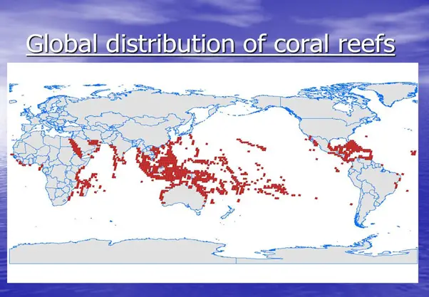 coral reefs distribution