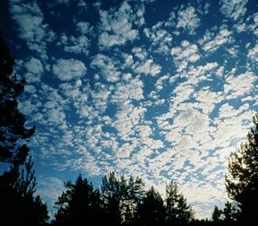 Cirrocumulus clouds