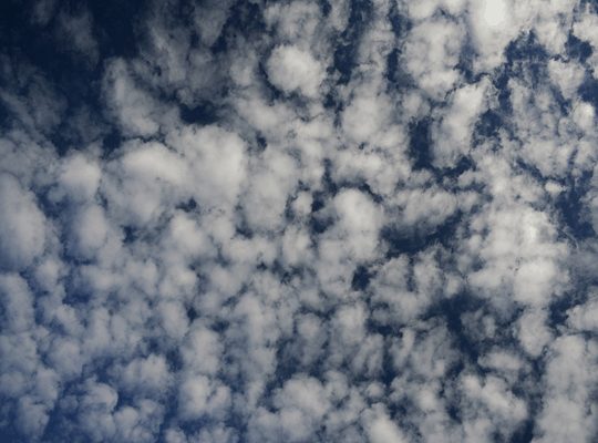 Altocumulus clouds