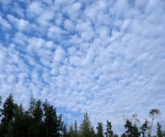 Stratus clouds